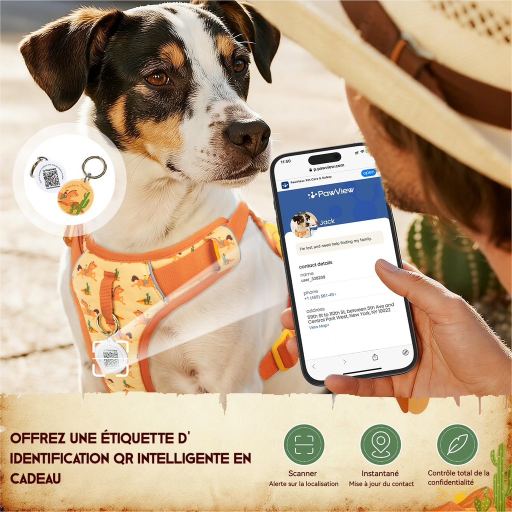 Pawview Harnais Western Cowboy Orange Carotte avec Médaille d'Identification pour Animal Confortable et Sécurisé Idéal pour Promenades