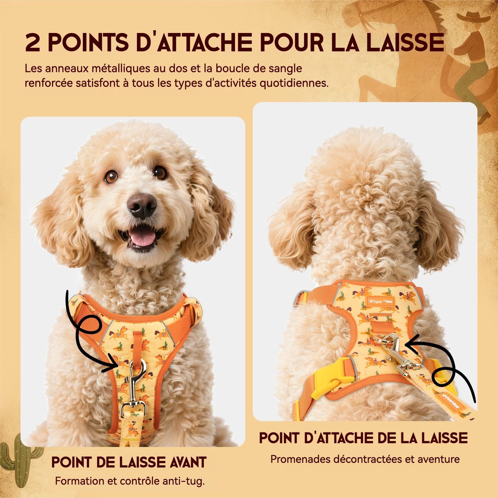 Pawview Harnais Western Cowboy Orange Carotte avec Médaille d'Identification pour Animal Confortable et Sécurisé Idéal pour Promenades