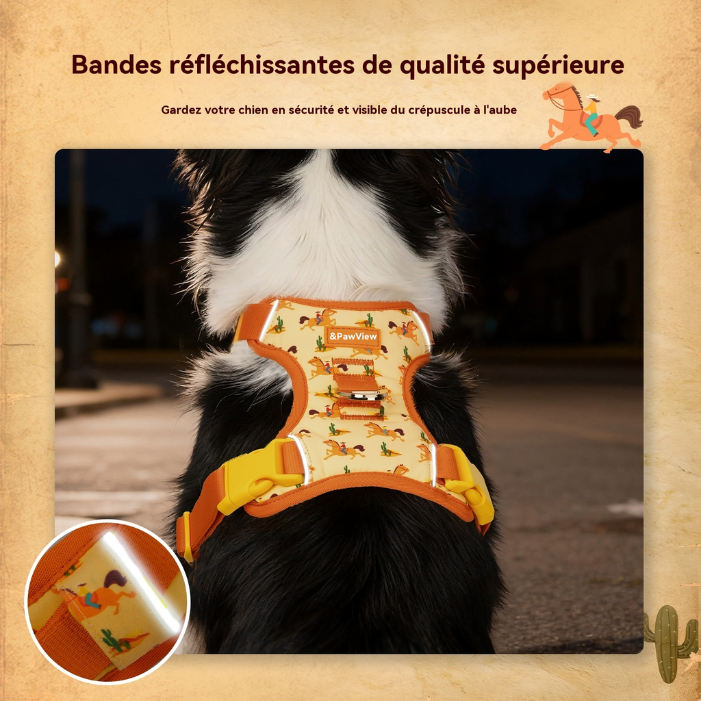 Pawview Harnais Western Cowboy Orange Carotte avec Médaille d'Identification pour Animal Confortable et Sécurisé Idéal pour Promenades