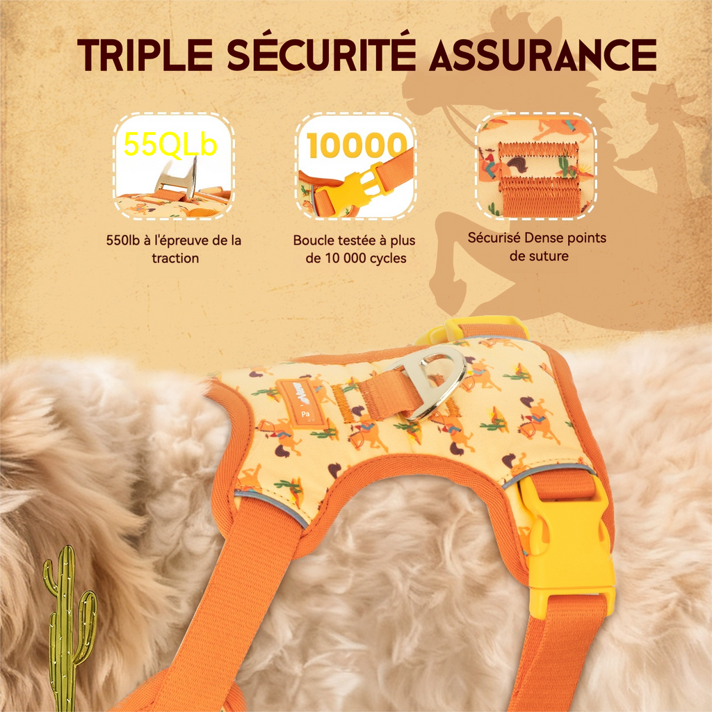 Pawview Harnais Western Cowboy Orange Carotte avec Médaille d'Identification pour Animal Confortable et Sécurisé Idéal pour Promenades