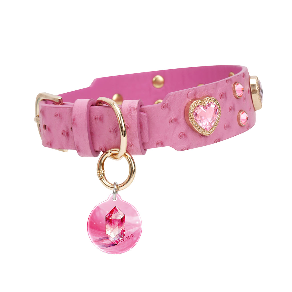 Collier PawView série Wish motif autruche avec médaille QR d’identification pour animaux