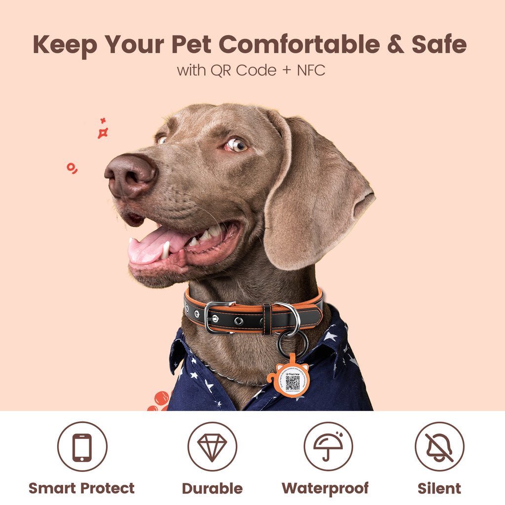 PawView Étiquette d'Identité pour Chien avec QR Code & NFC en Silicone Silencieux Personnalisable pour Animaux de Compagnie Scan QR pour Alertes de Localisation Instantanée et Profil Modifiable du Pet