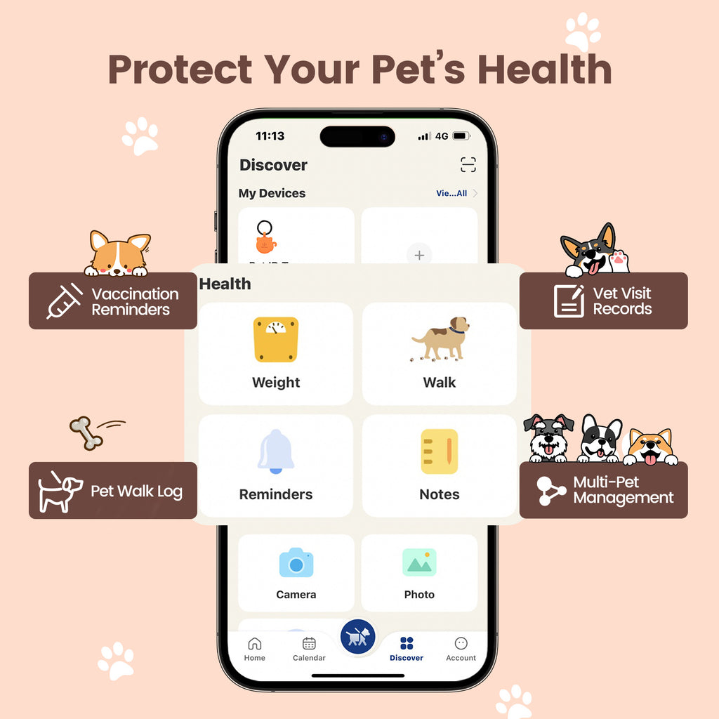 PawView Étiquette d'Identité pour Chien avec QR Code & NFC en Silicone Silencieux Personnalisable pour Animaux de Compagnie Scan QR pour Alertes de Localisation Instantanée et Profil Modifiable du Pet