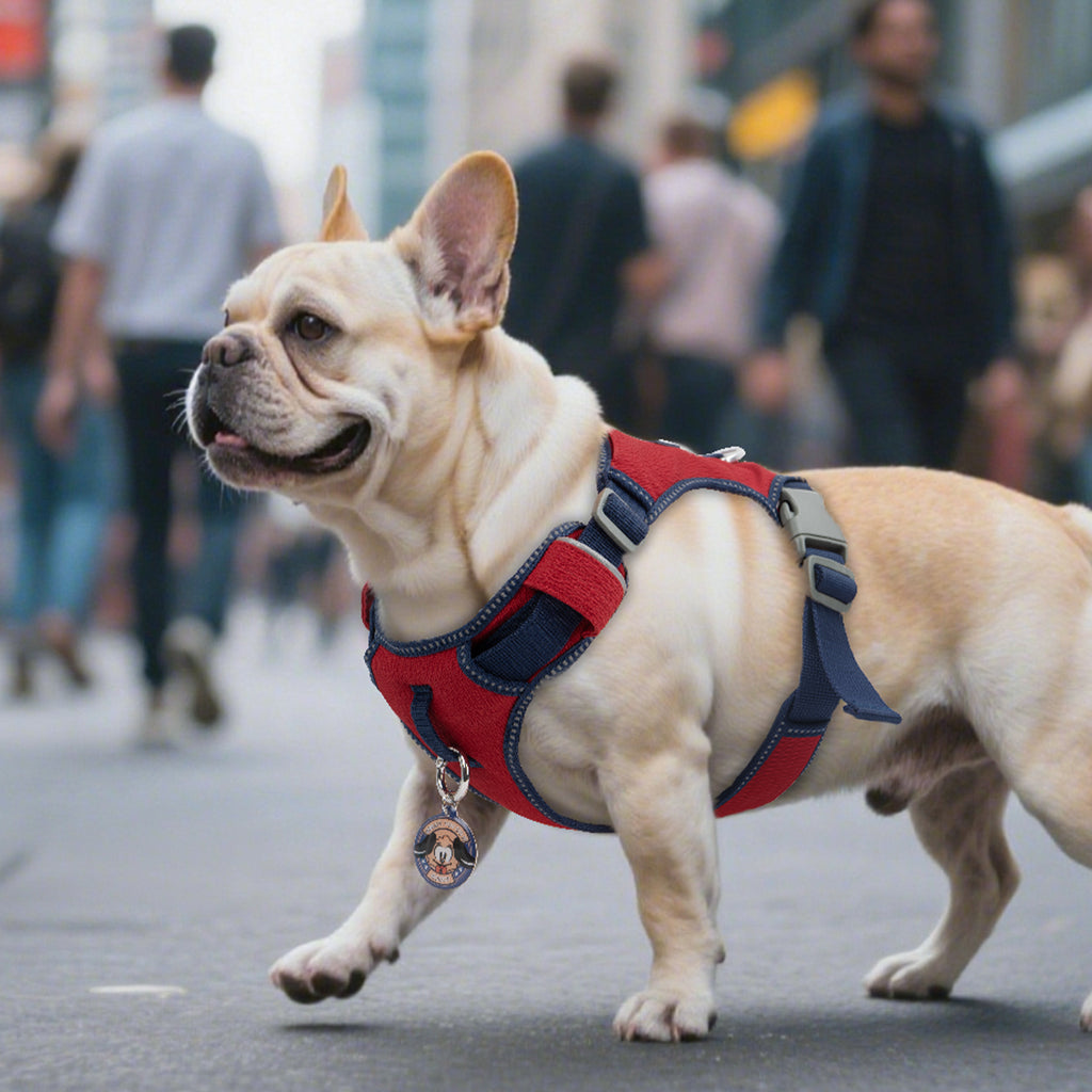 Pawview Harnais Super Léger pour Chiens de Taille Petite et Moyenne, Facile à Enfiler, Réglable, Rembourré, Réfléchissant, Anti-Traction avec 2 Points d’Attache et Poignée de Contrôle