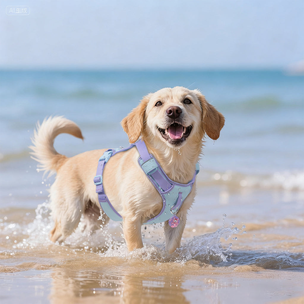 Pawview Harnais Super Léger pour Chiens de Taille Petite et Moyenne, Facile à Enfiler, Réglable, Rembourré, Réfléchissant, Anti-Traction avec 2 Points d’Attache et Poignée de Contrôle