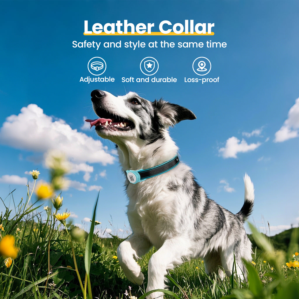 Collier pour chien de la Collection PawView en cuir véritable avec porte-airtag TN005 Smart