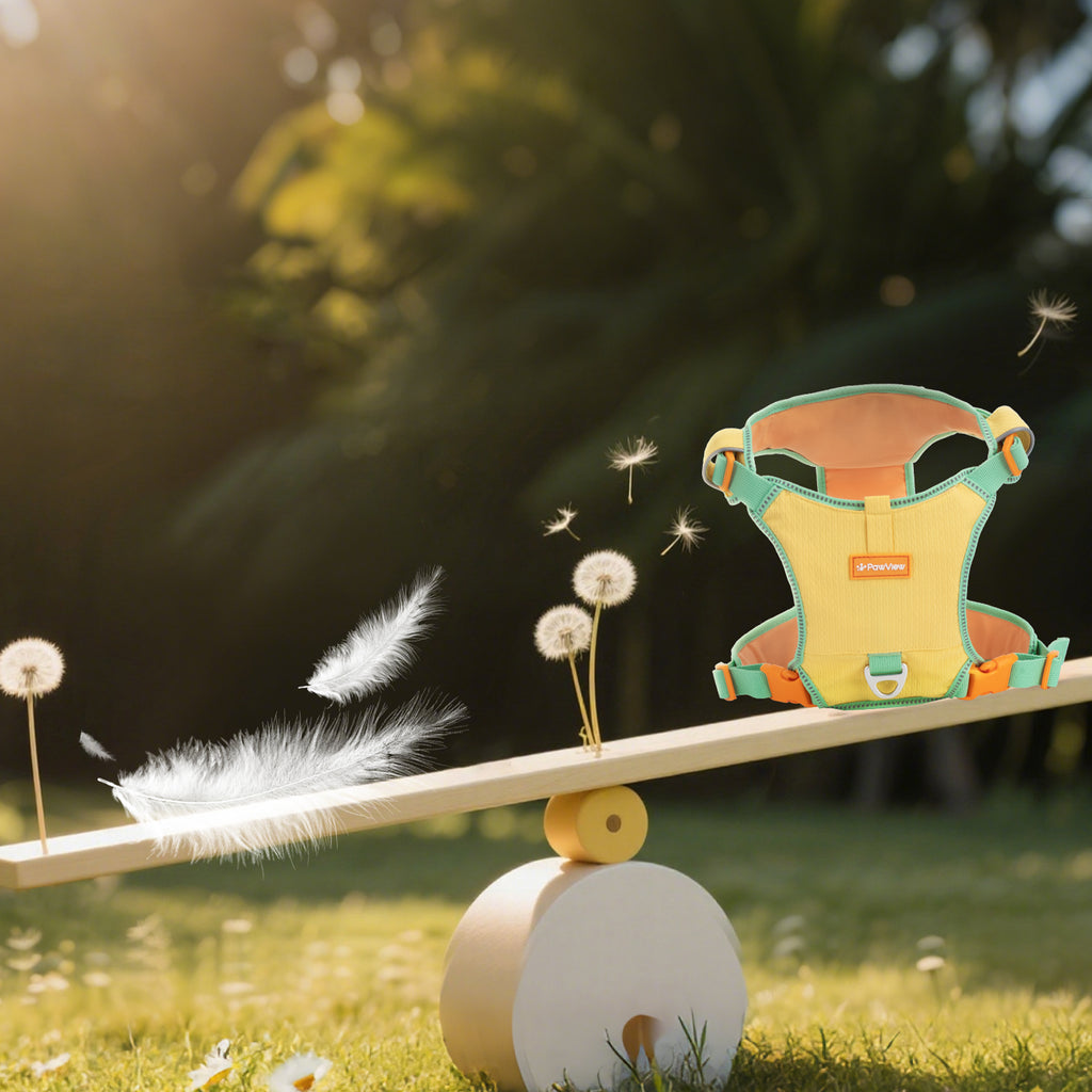 Pawview Harnais Super Léger pour Chiens de Taille Petite et Moyenne, Facile à Enfiler, Réglable, Rembourré, Réfléchissant, Anti-Traction avec 2 Points d’Attache et Poignée de Contrôle