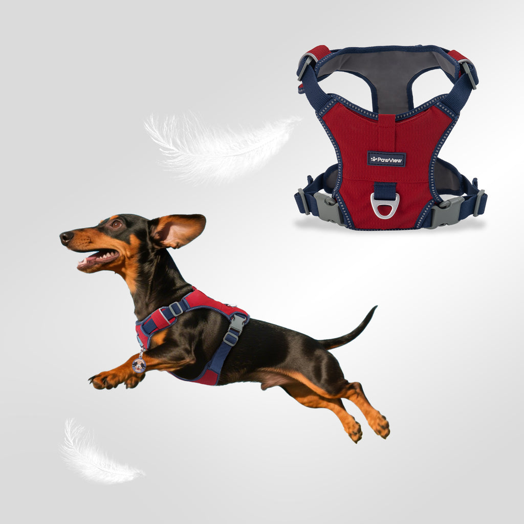 Pawview Harnais Super Léger pour Chiens de Taille Petite et Moyenne, Facile à Enfiler, Réglable, Rembourré, Réfléchissant, Anti-Traction avec 2 Points d’Attache et Poignée de Contrôle