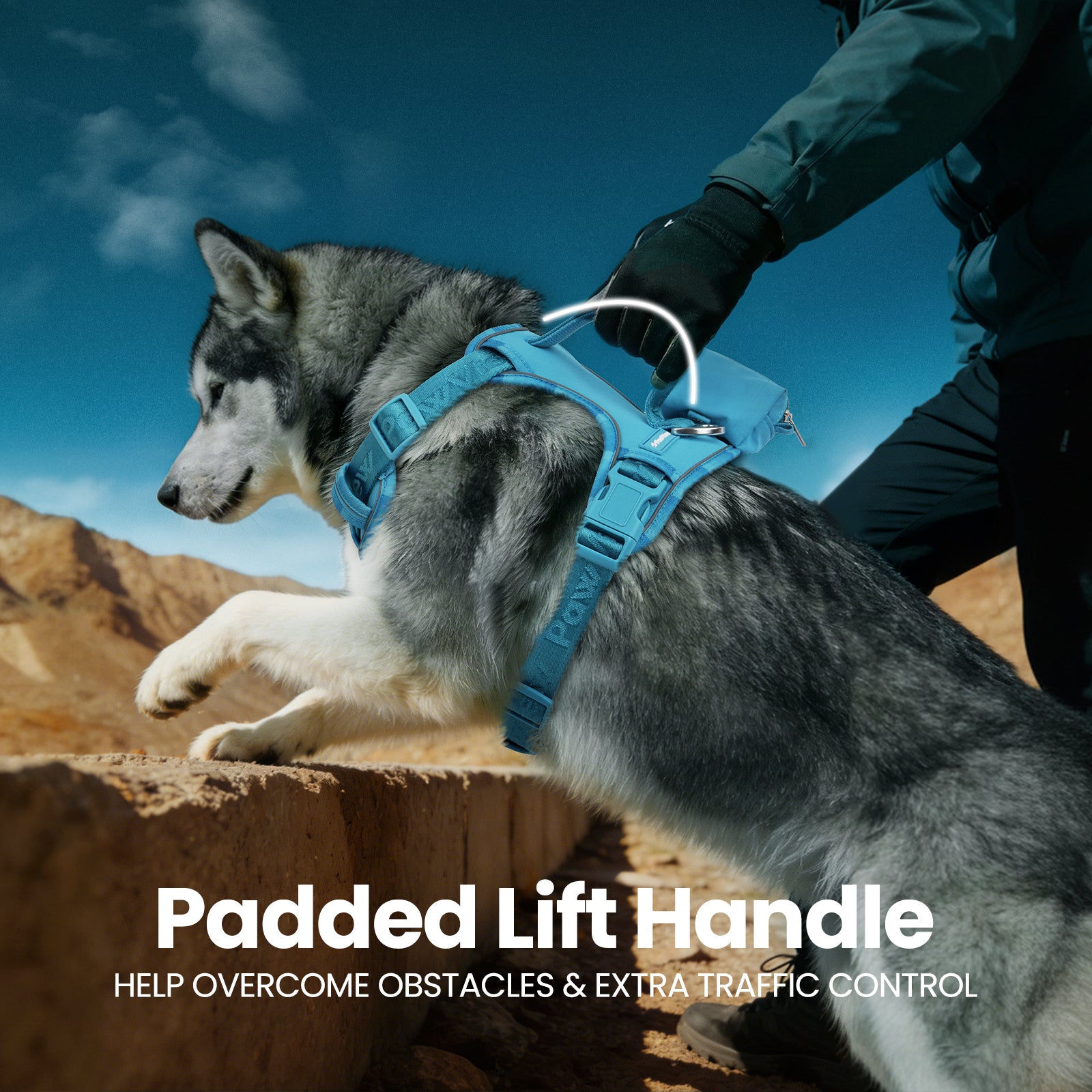 PawView Reflective Harnais with Handle