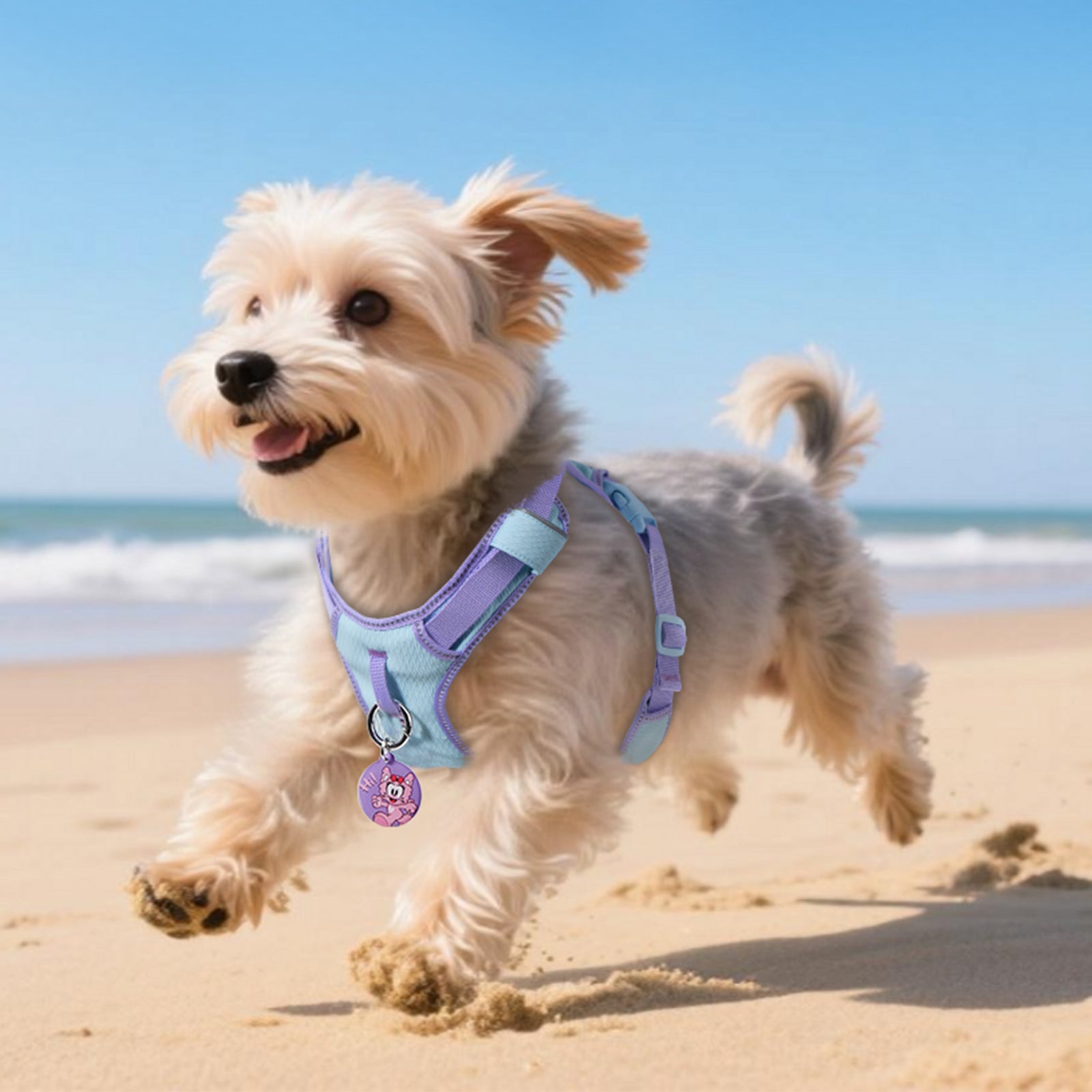 Pawview Harnais Super Léger pour Chiens de Taille Petite et Moyenne, Facile à Enfiler, Réglable, Rembourré, Réfléchissant, Anti-Traction avec 2 Points d’Attache et Poignée de Contrôle