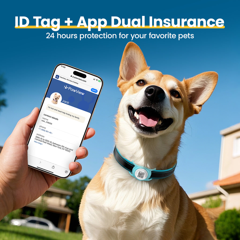 Collier pour chien de la Collection PawView en cuir véritable avec porte-airtag TN005 Smart