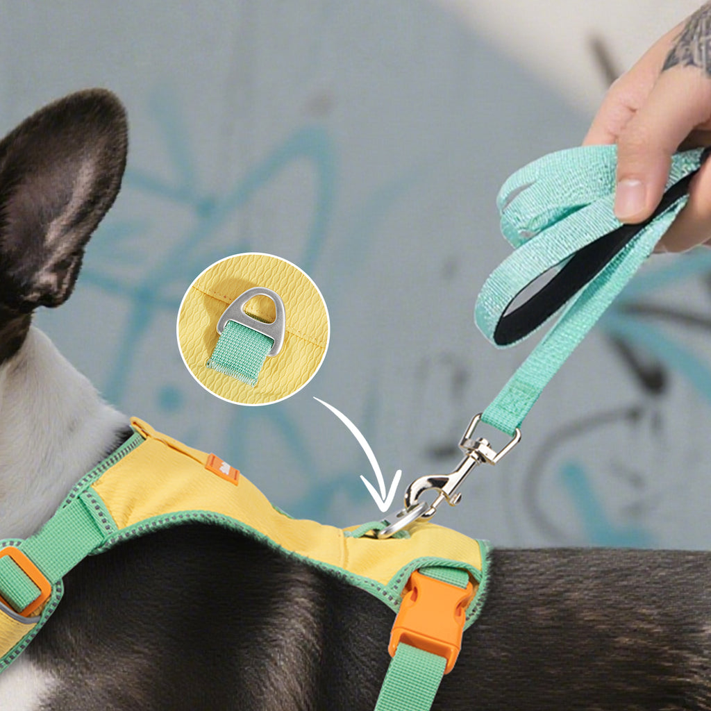 Pawview Harnais Super Léger pour Chiens de Taille Petite et Moyenne, Facile à Enfiler, Réglable, Rembourré, Réfléchissant, Anti-Traction avec 2 Points d’Attache et Poignée de Contrôle