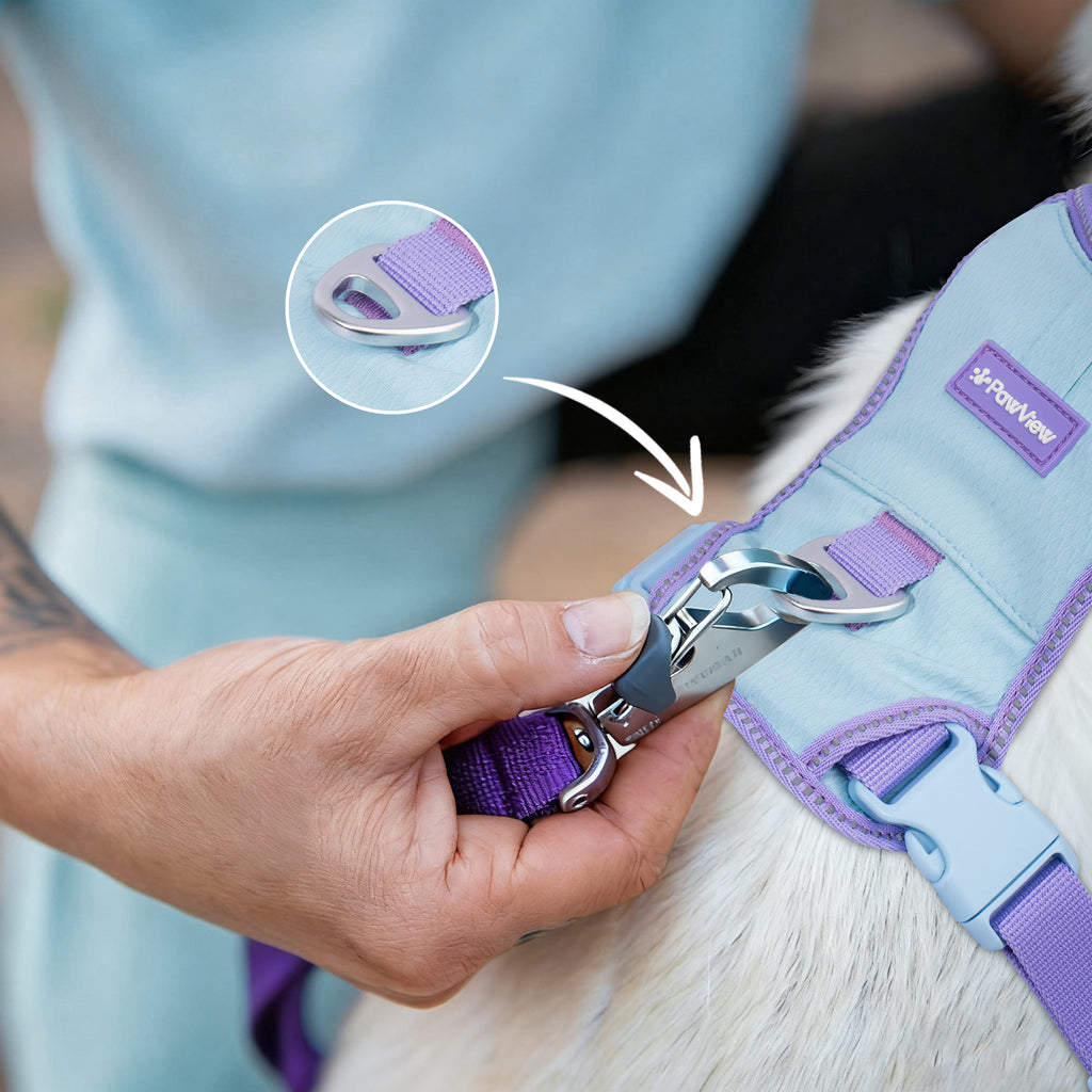 Pawview Harnais Super Léger pour Chiens de Taille Petite et Moyenne, Facile à Enfiler, Réglable, Rembourré, Réfléchissant, Anti-Traction avec 2 Points d’Attache et Poignée de Contrôle