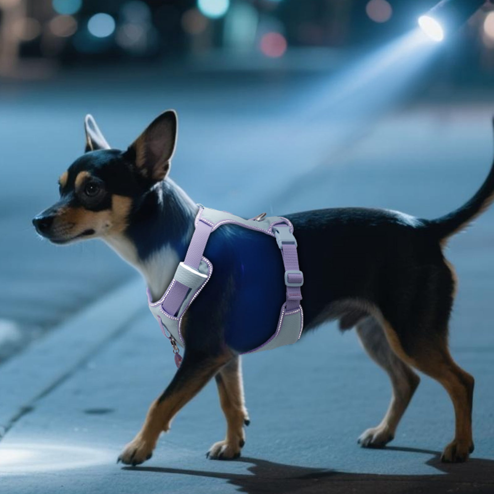 Pawview Harnais Super Léger pour Chiens de Taille Petite et Moyenne, Facile à Enfiler, Réglable, Rembourré, Réfléchissant, Anti-Traction avec 2 Points d’Attache et Poignée de Contrôle