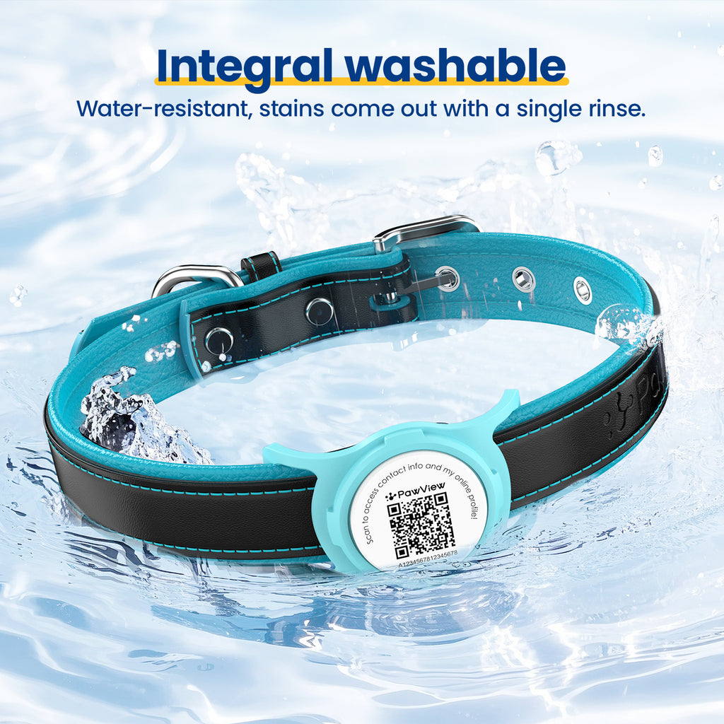 Collier pour chien de la Collection PawView en cuir véritable avec porte-airtag TN005 Smart
