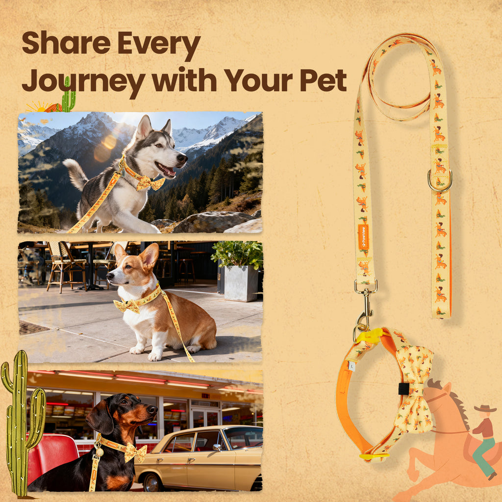 PawView Ensemble Western Cowboy Collier Laisse Nœud Papillon avec Médaille d'Identification pour Animal Orange Carotte