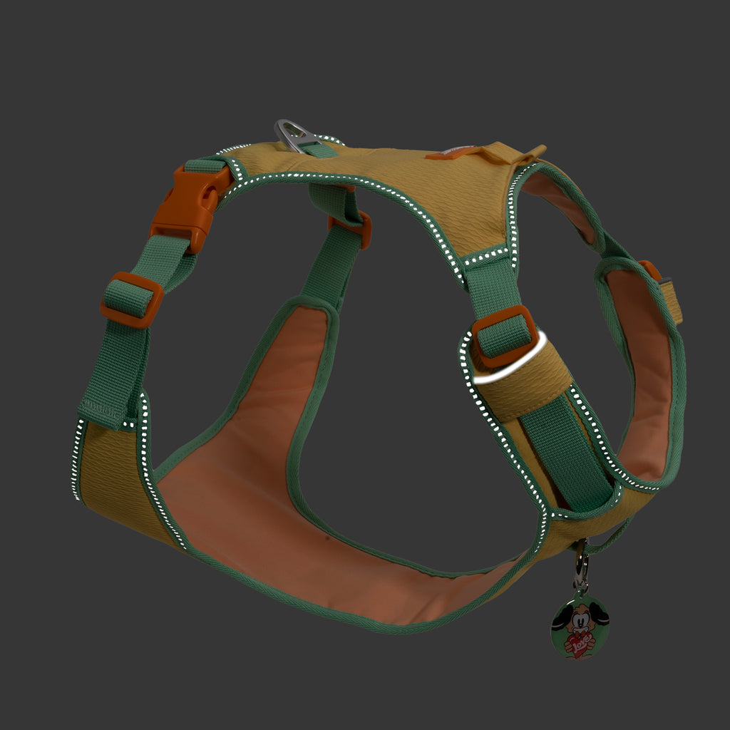 Pawview Harnais Super Léger pour Chiens de Taille Petite et Moyenne, Facile à Enfiler, Réglable, Rembourré, Réfléchissant, Anti-Traction avec 2 Points d’Attache et Poignée de Contrôle