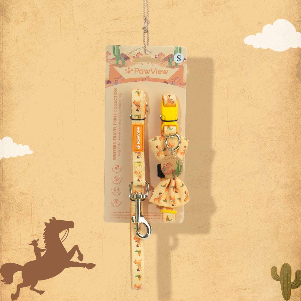 PawView Ensemble Western Cowboy Collier Laisse Nœud Papillon avec Médaille d'Identification pour Animal Orange Carotte