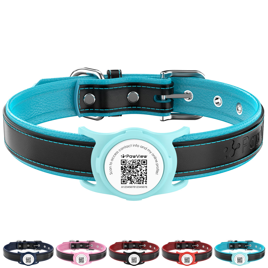 Collier pour chien de la Collection PawView en cuir véritable avec porte-airtag TN005 Smart