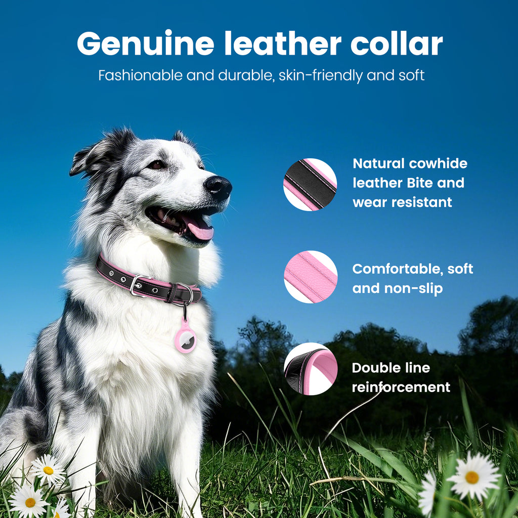 Pawview dog collar with TN002 Smart AirTag tag holder