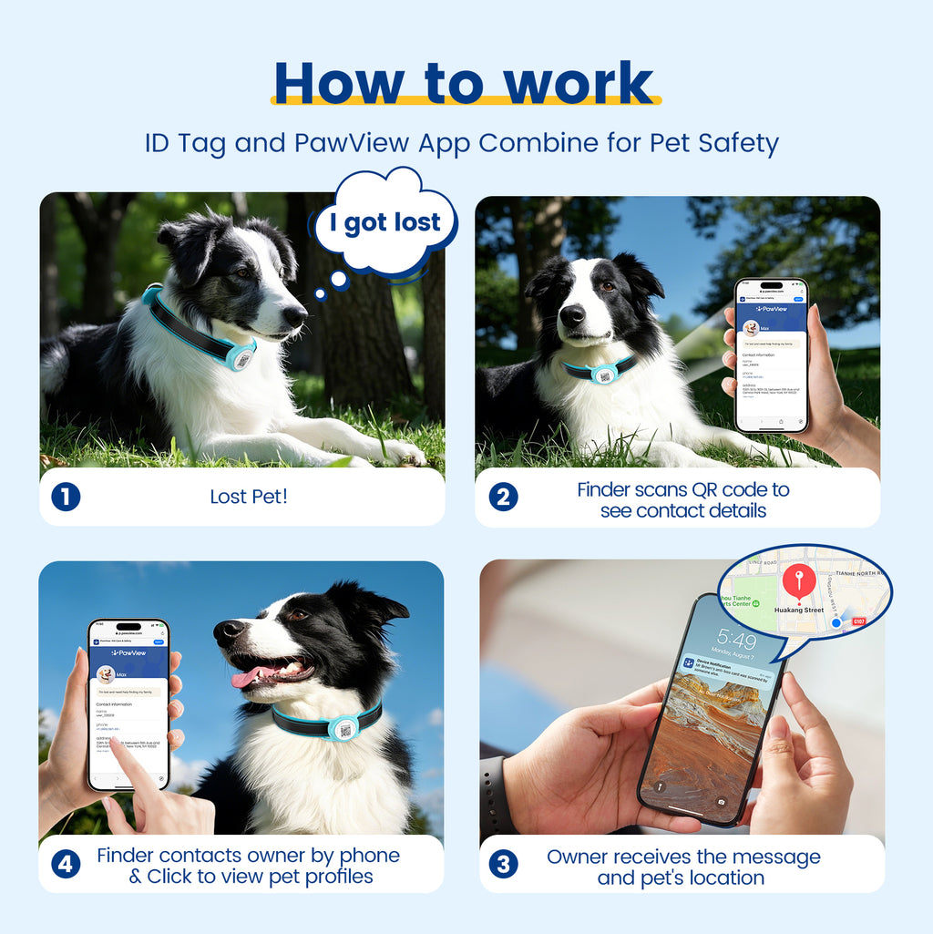 Collier pour chien de la Collection PawView en cuir véritable avec porte-airtag TN005 Smart