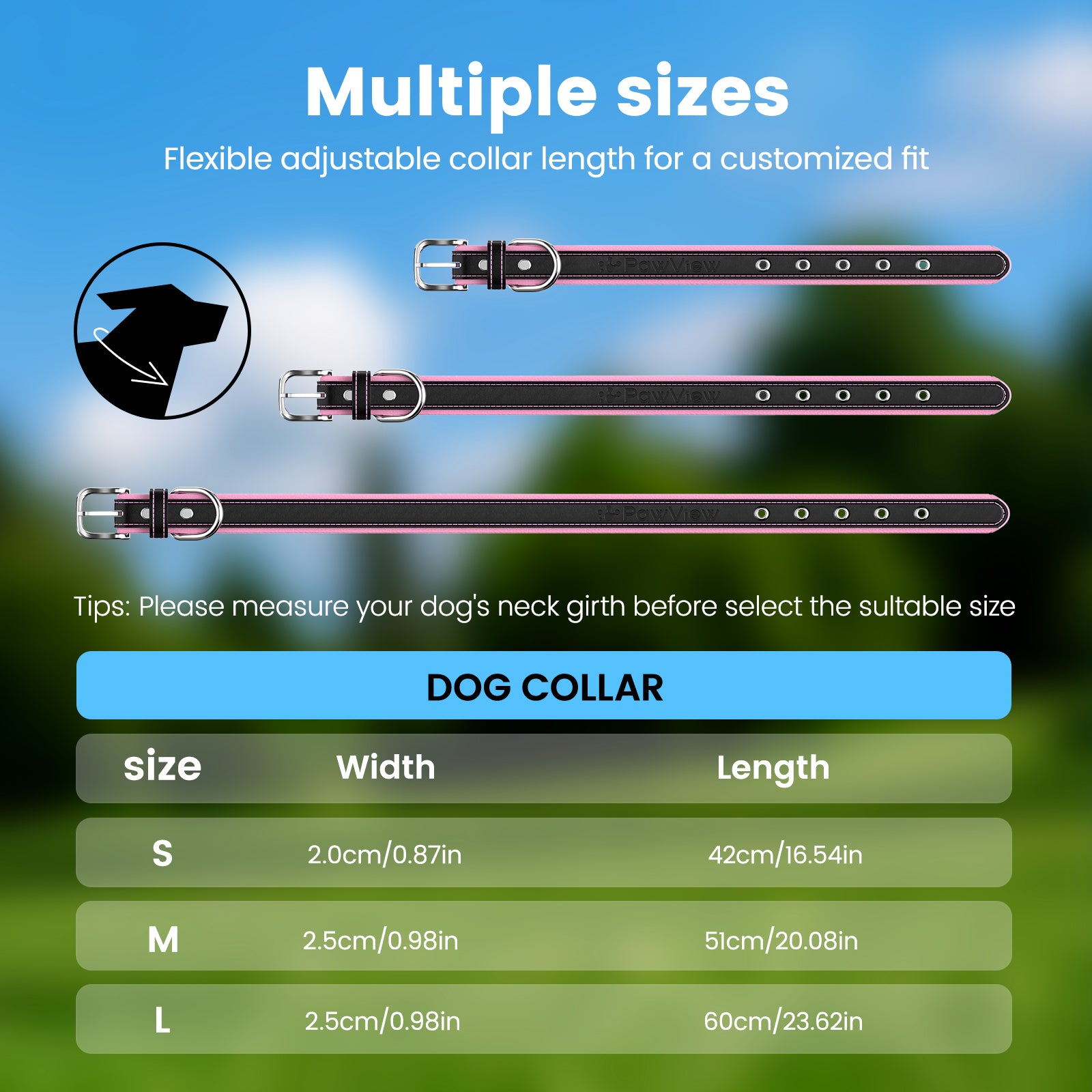Pawview dog collar with TN002 Smart AirTag tag holder