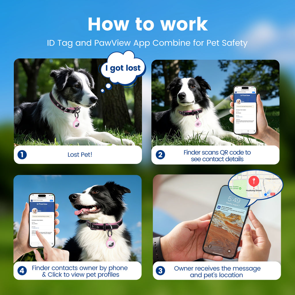 Pawview dog collar with TN002 Smart AirTag tag holder