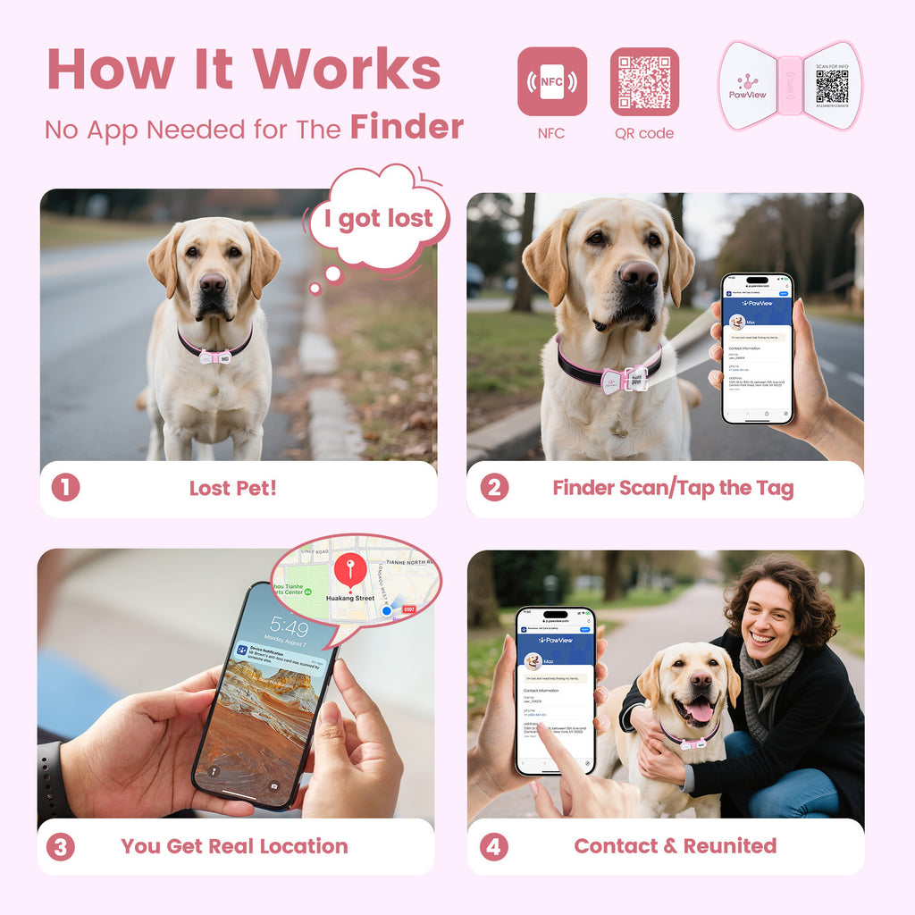 PawView TN003 Anti-perte NFC & QR Code animal ID Tag, Smart Silent Silicone animal Tag pour chien et chat