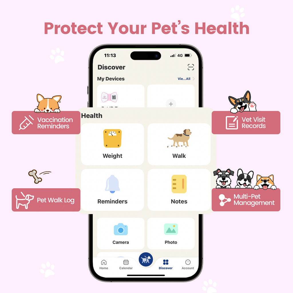 PawView TN003 Anti-perte NFC & QR Code animal ID Tag, Smart Silent Silicone animal Tag pour chien et chat