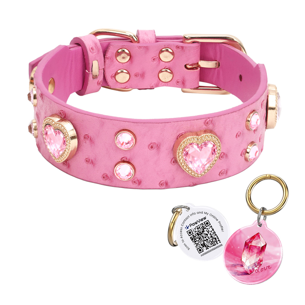 Collier PawView série Wish motif autruche avec médaille QR d’identification pour animaux