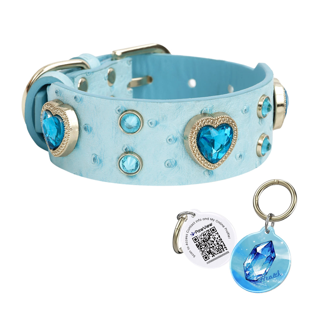 Collier PawView série Wish motif autruche avec médaille QR d’identification pour animaux
