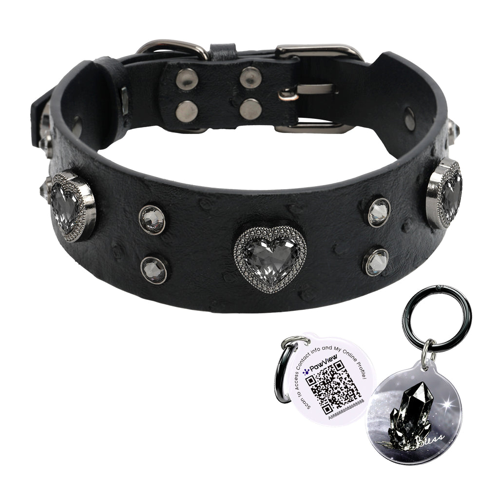 Collier PawView série Wish motif autruche avec médaille QR d’identification pour animaux