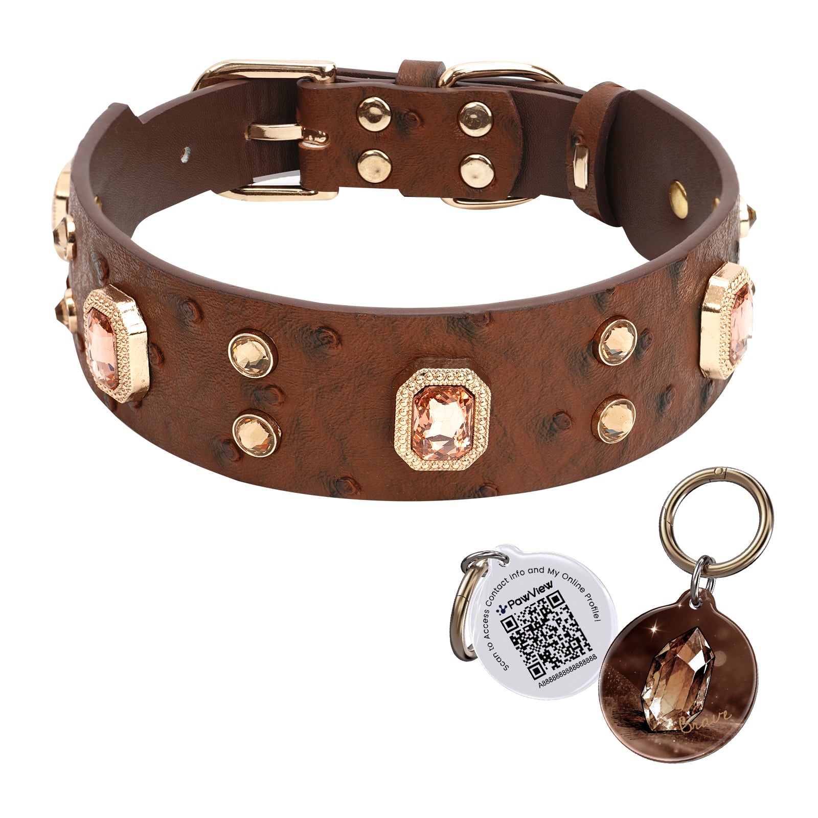 Collier PawView série Wish motif autruche avec médaille QR d’identification pour animaux