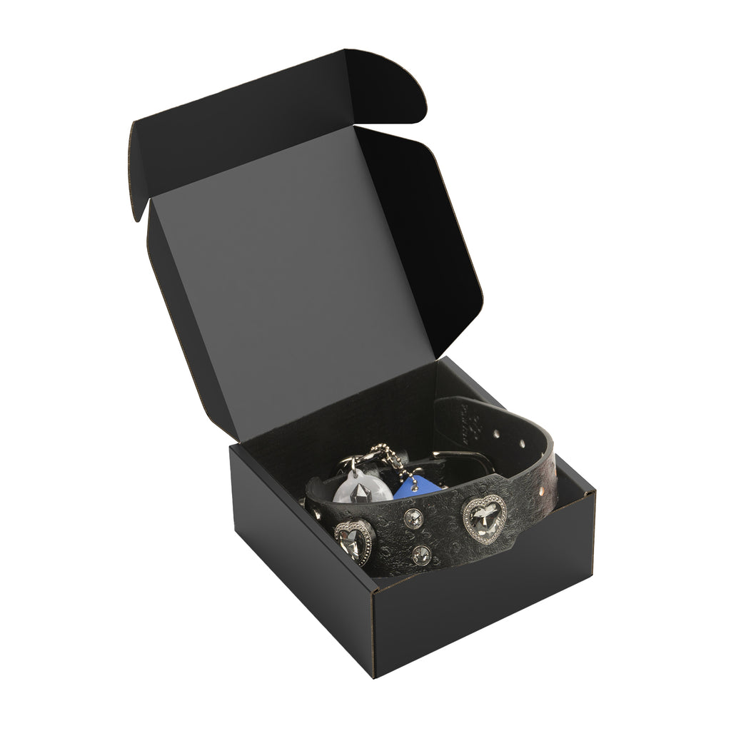 Collier PawView série Wish motif autruche avec médaille QR d’identification pour animaux