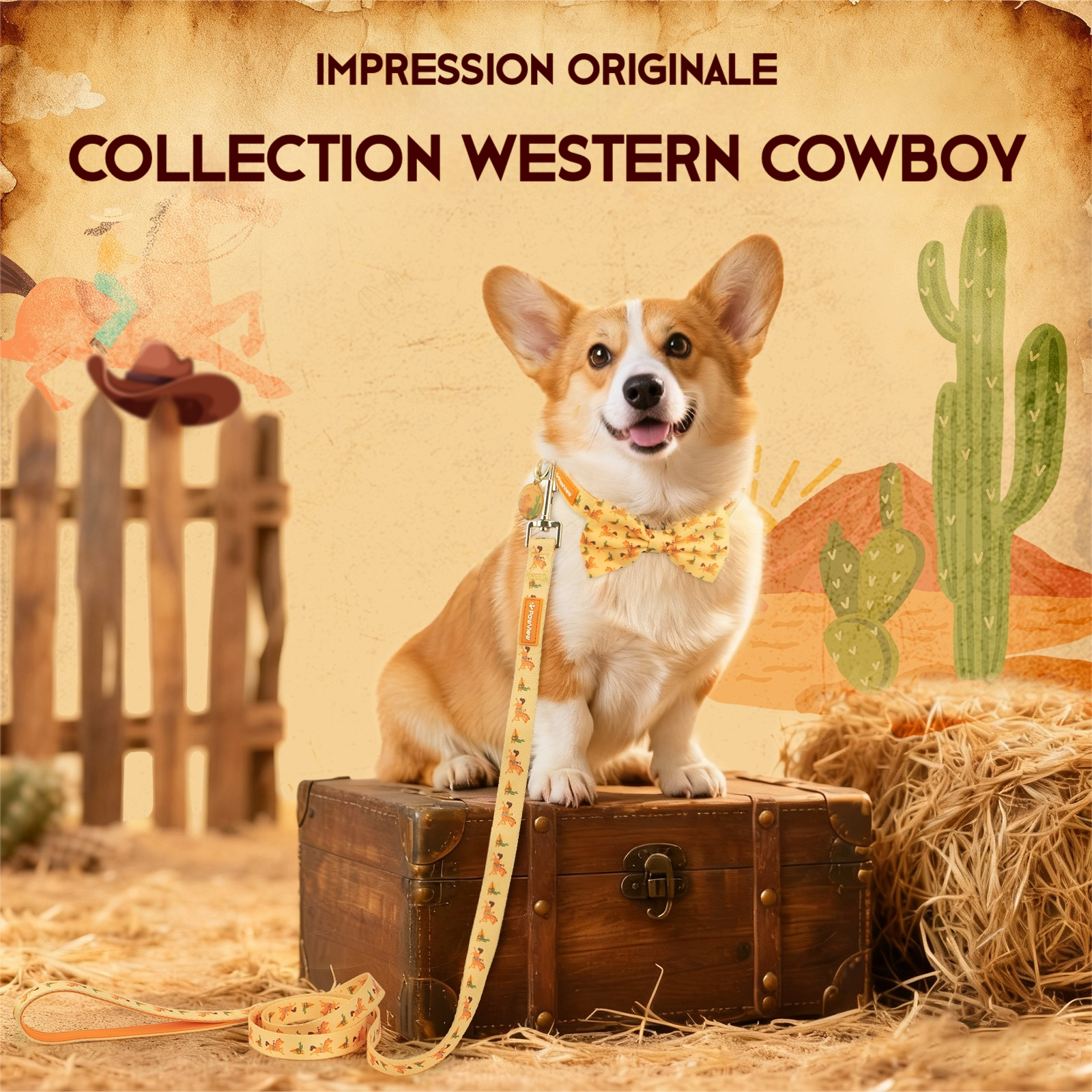 PawView Ensemble Western Cowboy Collier Laisse Nœud Papillon avec Médaille d'Identification pour Animal Orange Carotte