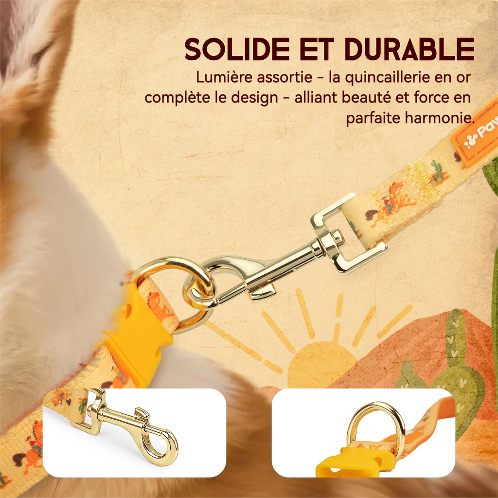 PawView Ensemble Western Cowboy Collier Laisse Nœud Papillon avec Médaille d'Identification pour Animal Orange Carotte