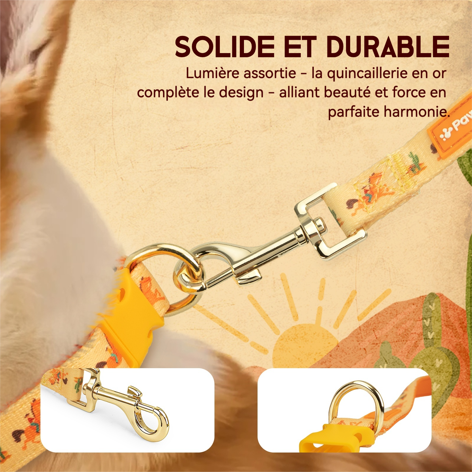PawView Ensemble Western Cowboy Collier Laisse Nœud Papillon avec Médaille d'Identification pour Animal Orange Carotte