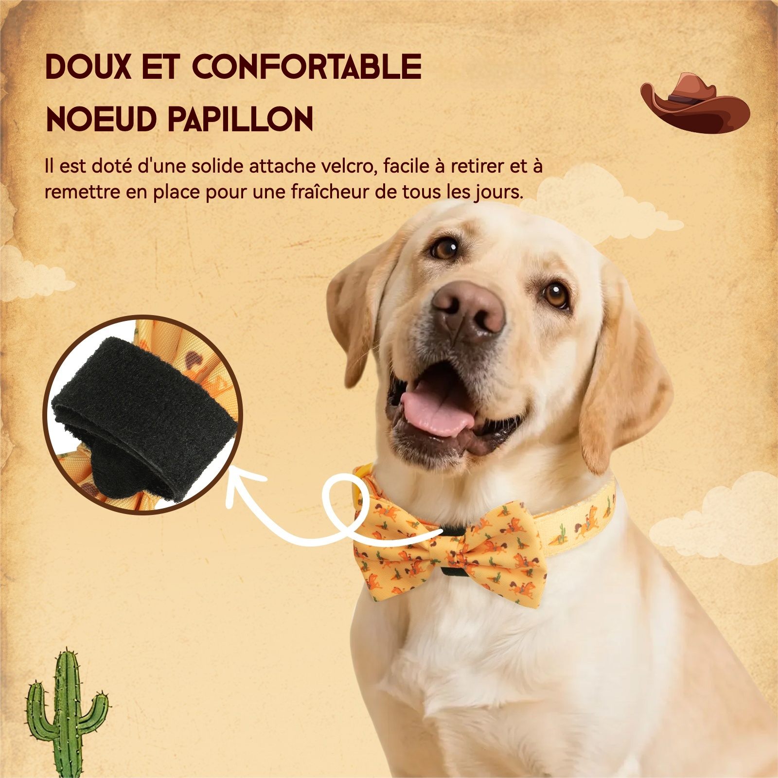PawView Ensemble Western Cowboy Collier Laisse Nœud Papillon avec Médaille d'Identification pour Animal Orange Carotte