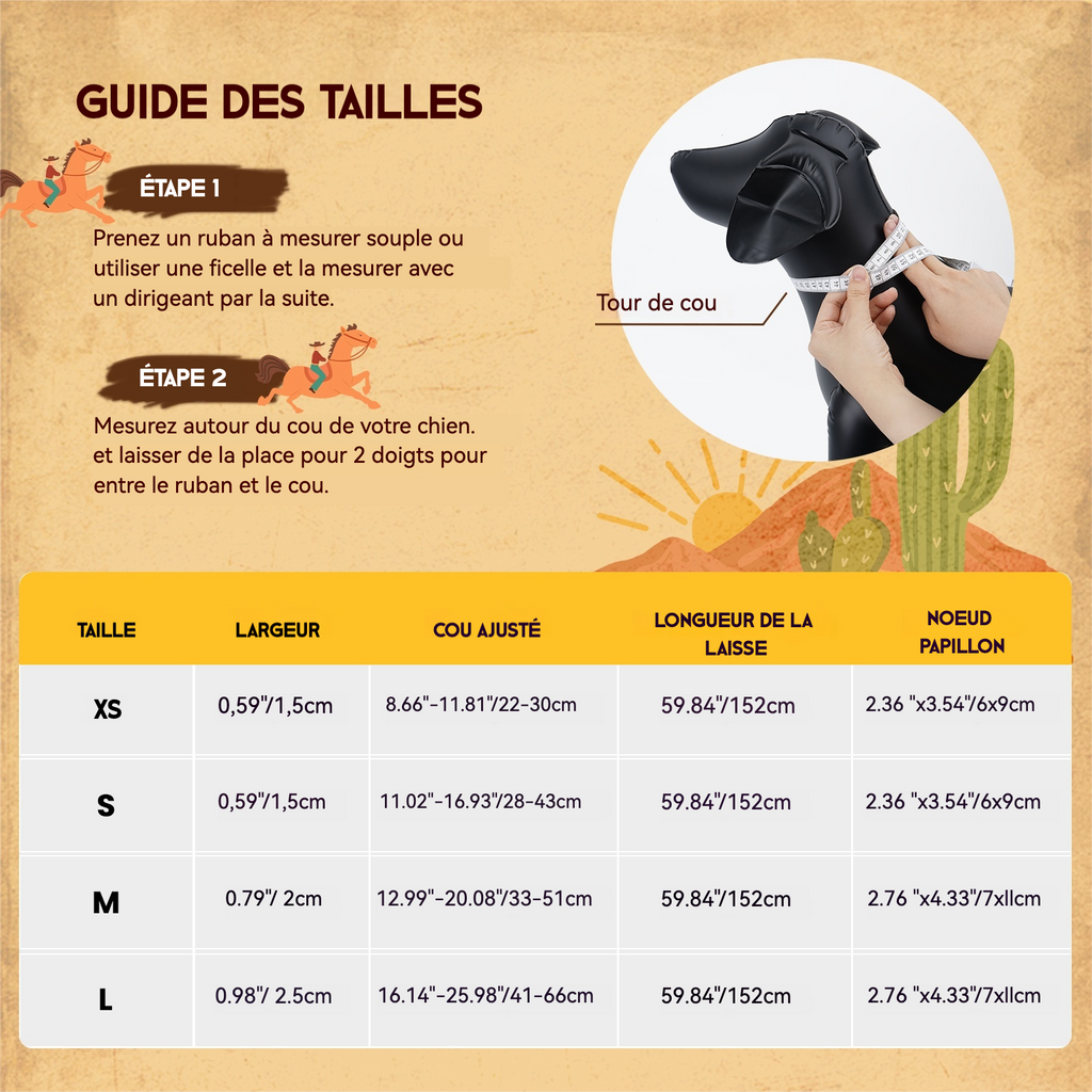 PawView Ensemble Western Cowboy Collier Laisse Nœud Papillon avec Médaille d'Identification pour Animal Orange Carotte