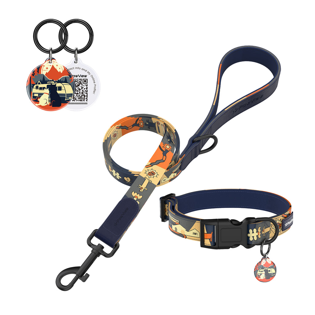 Collier et laisse pour chien avec étiquette ID intelligente – Ensemble ajustable doux rembourré robuste confortable avec design d'art pop mignon pour chiens de petite, moyenne et grande taille