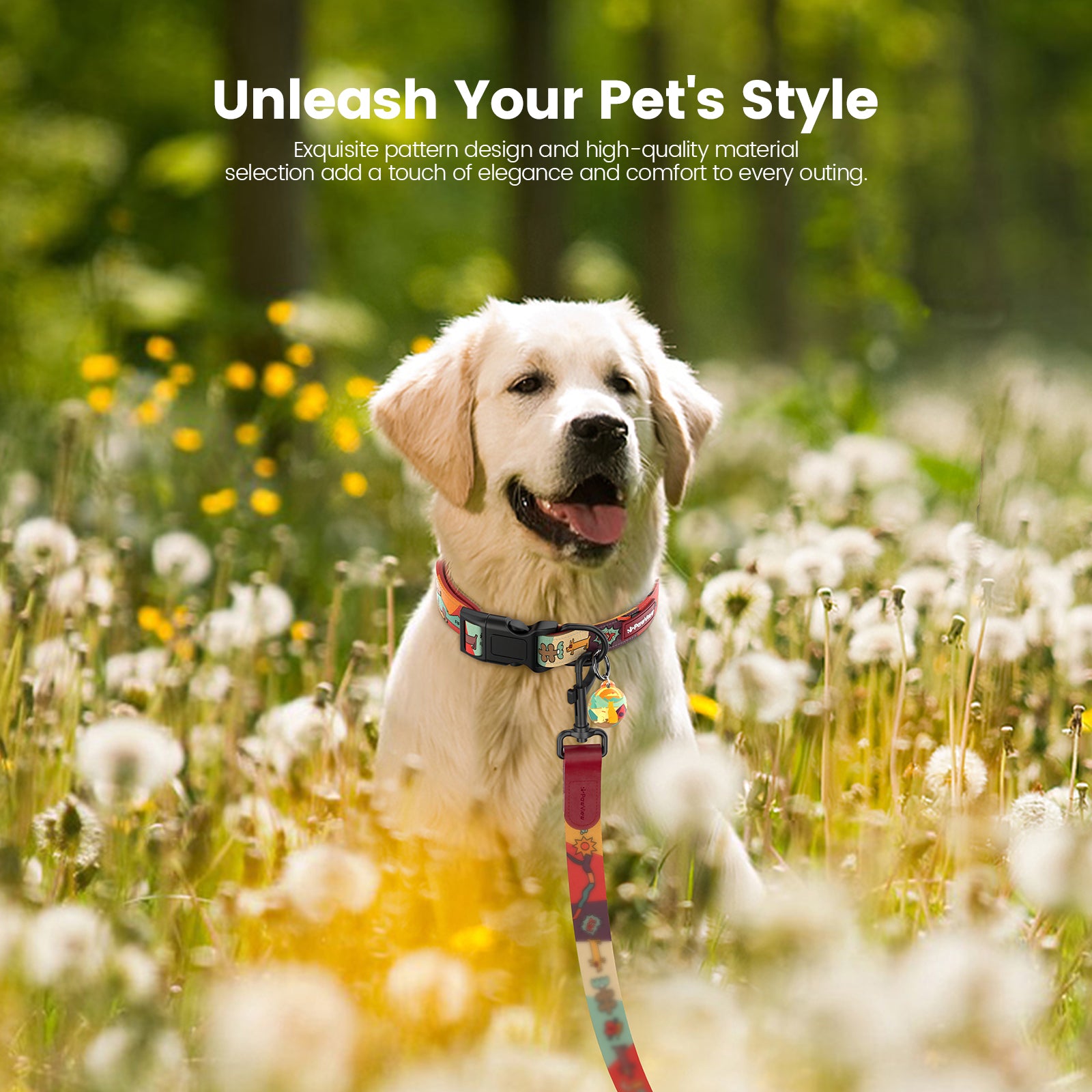 Collier et laisse pour chien avec étiquette ID intelligente – Ensemble ajustable doux rembourré robuste confortable avec design d'art pop mignon pour chiens de petite, moyenne et grande taille