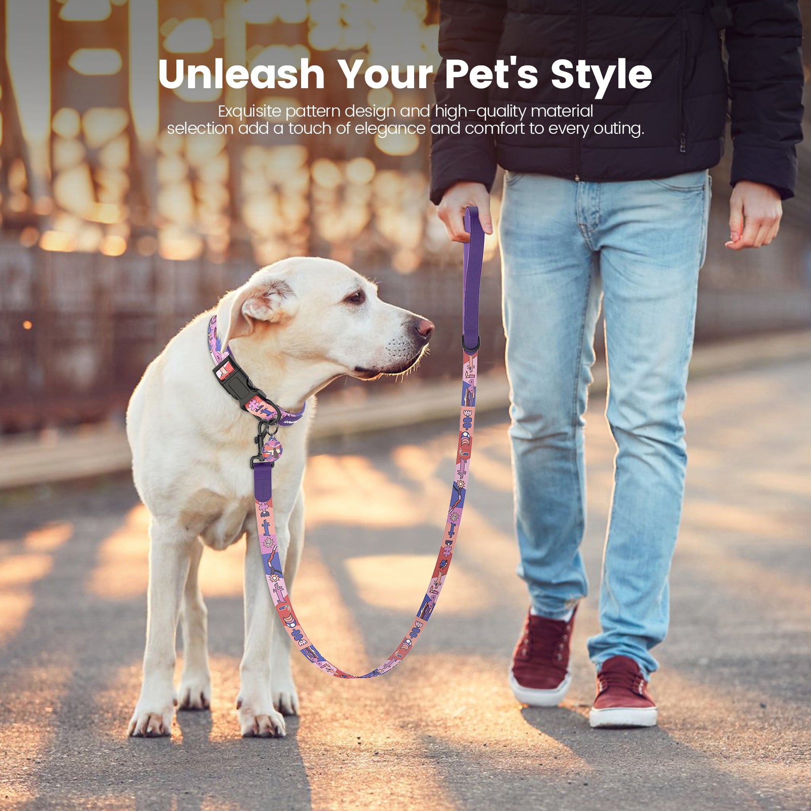 Collier et laisse pour chien avec étiquette ID intelligente – Ensemble ajustable doux rembourré robuste confortable avec design d'art pop mignon pour chiens de petite, moyenne et grande taille