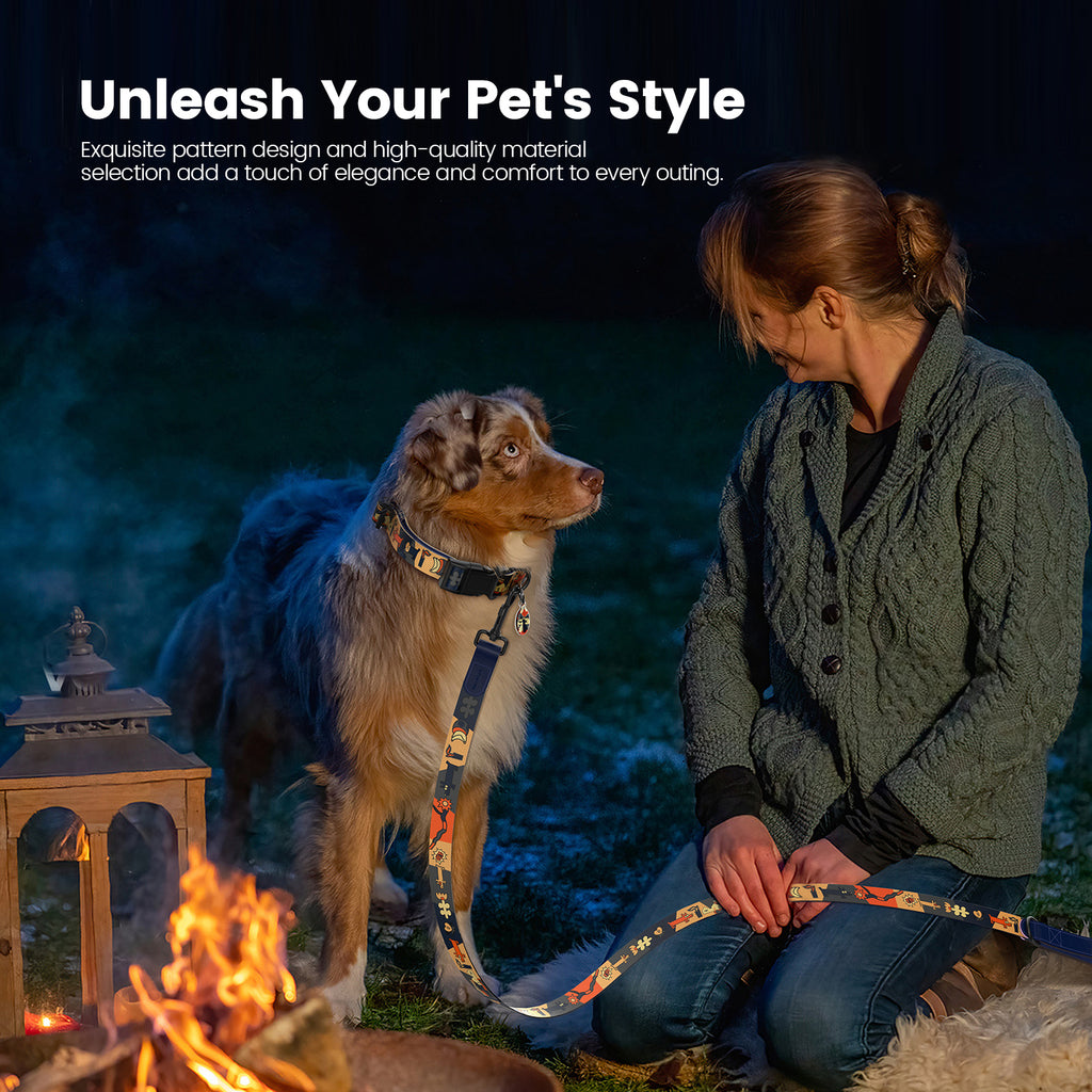 Collier et laisse pour chien avec étiquette ID intelligente – Ensemble ajustable doux rembourré robuste confortable avec design d'art pop mignon pour chiens de petite, moyenne et grande taille