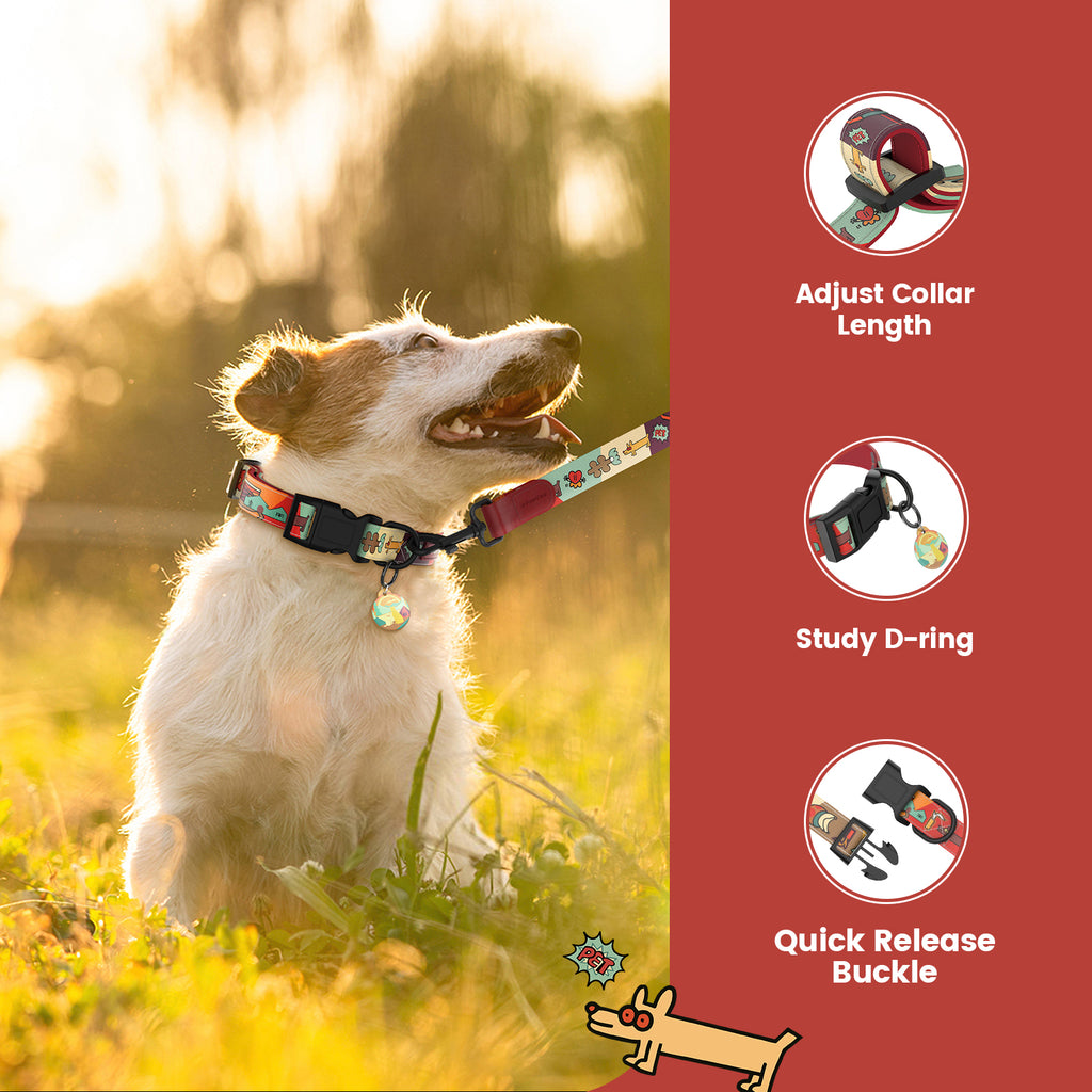 Collier et laisse pour chien avec étiquette ID intelligente – Ensemble ajustable doux rembourré robuste confortable avec design d'art pop mignon pour chiens de petite, moyenne et grande taille