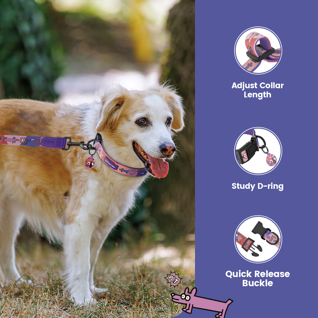 Collier et laisse pour chien avec étiquette ID intelligente – Ensemble ajustable doux rembourré robuste confortable avec design d'art pop mignon pour chiens de petite, moyenne et grande taille