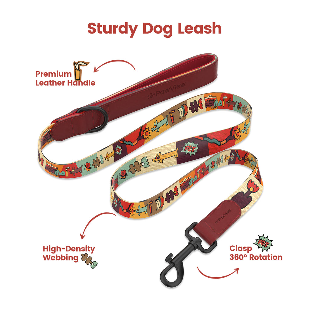 Collier et laisse pour chien avec étiquette ID intelligente – Ensemble ajustable doux rembourré robuste confortable avec design d'art pop mignon pour chiens de petite, moyenne et grande taille