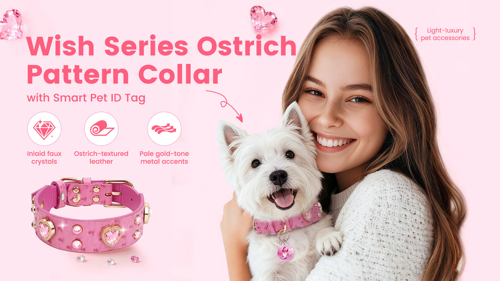 Collier PawView série Wish motif autruche avec médaille QR d’identification pour animaux