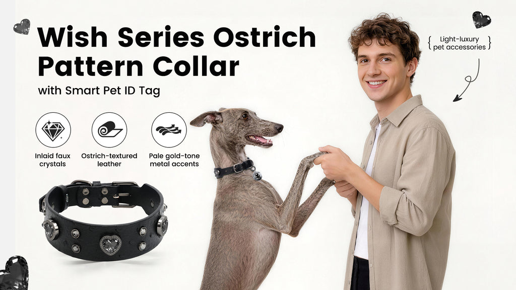 Collier PawView série Wish motif autruche avec médaille QR d’identification pour animaux