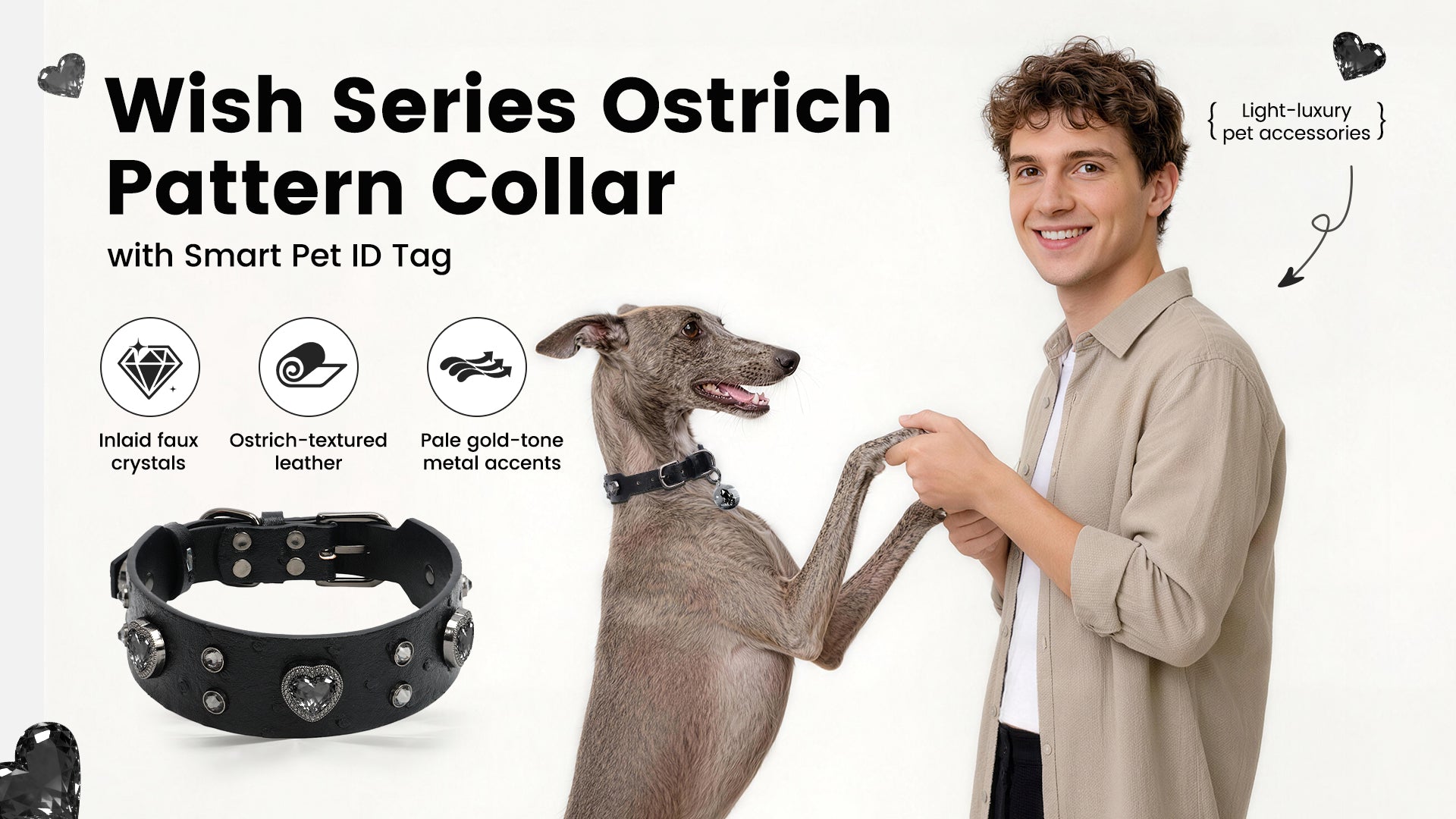 Collier PawView série Wish motif autruche avec médaille QR d’identification pour animaux