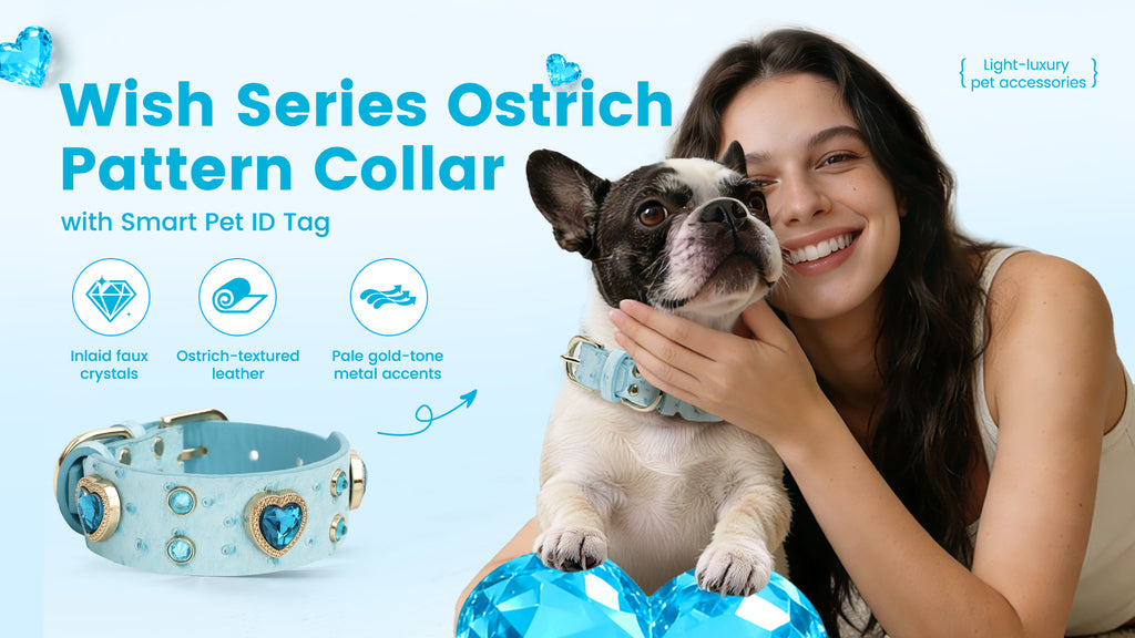 Collier PawView série Wish motif autruche avec médaille QR d’identification pour animaux